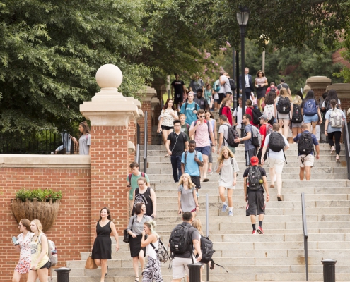A crowd of students walking at the Baldwin Street stairs during a Summer day.